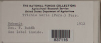 Image Associated With the Occurence